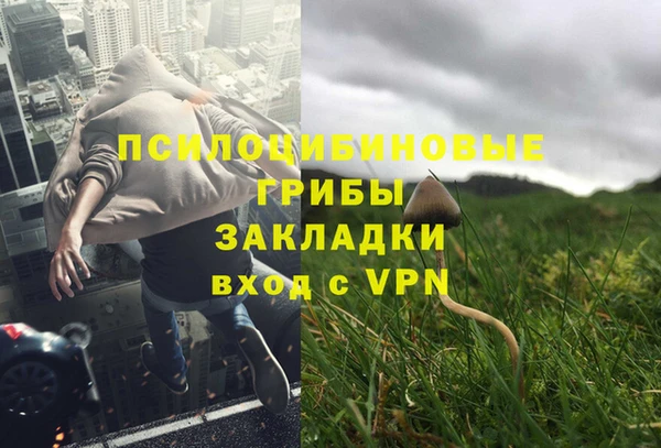 мдпв Осинники