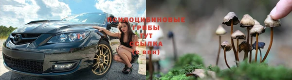 spice Осташков