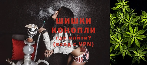 spice Осташков