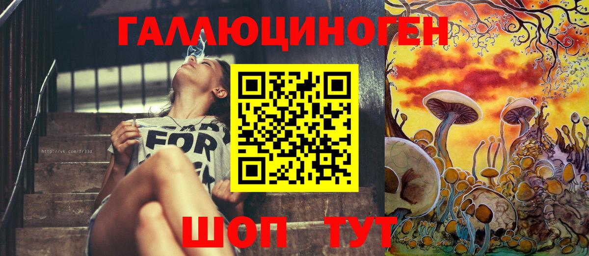 Псилоцибиновые грибы Psilocybe  Волжск 