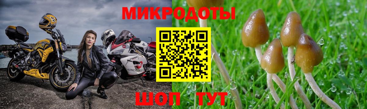 Галлюциногенные грибы MAGIC MUSHROOMS Волжск