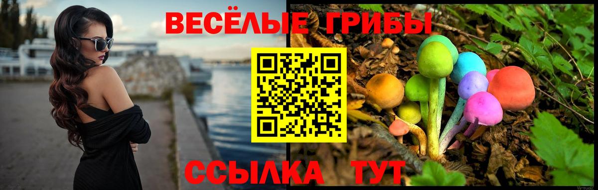 Волжск  цена наркотик  Галлюциногенные грибы GOLDEN TEACHER  Вход с VPN  Псилоцибиновые грибы мухоморы 